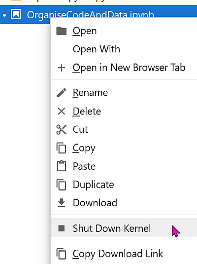 Do not forget to shut down the kernel in the context menu of the File Browser