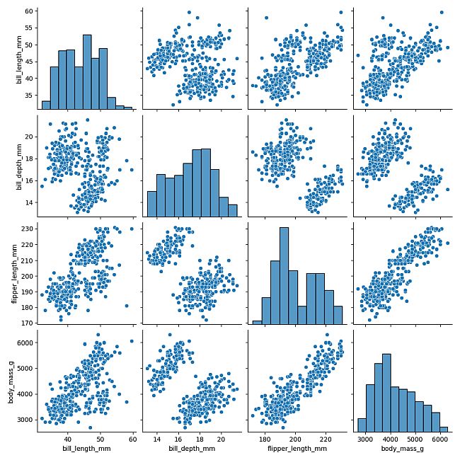 The pairplot for the penguins contains clusters.